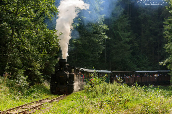 Mocanita-Vaser-Valley-Maramures-County-Romania