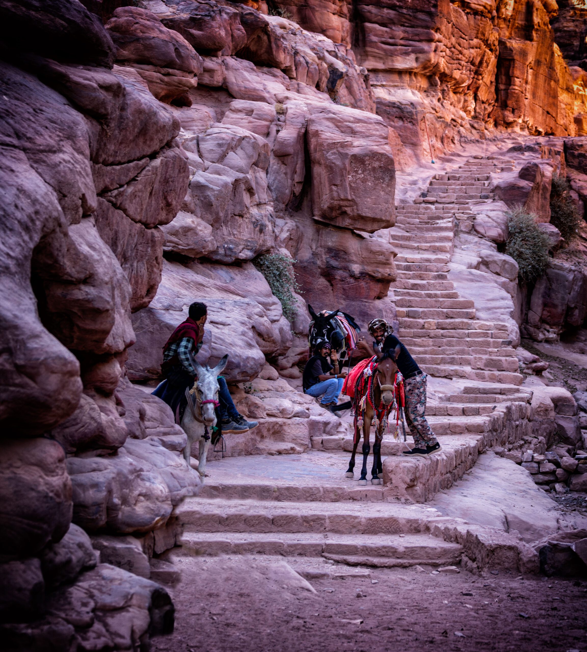 Pathway in Petra, Jordan, with local men and donkeys offering rides to visitors