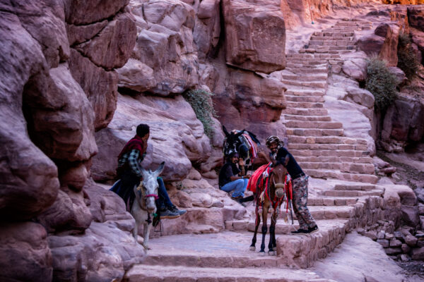 Pathway in Petra, Jordan, with local men and donkeys offering rides to visitors